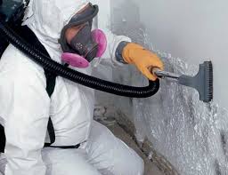 Why You Should Choose Our Mold Remediation Services in Glens Falls, NY